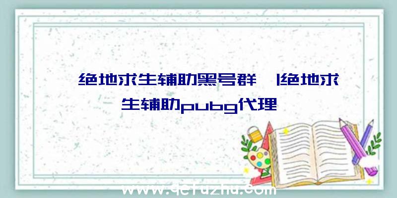 「绝地求生辅助黑号群」|绝地求生辅助pubg代理